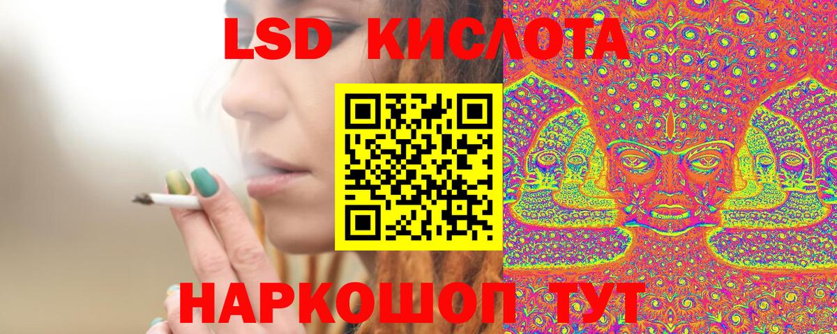Альфа ПВП Мурманск