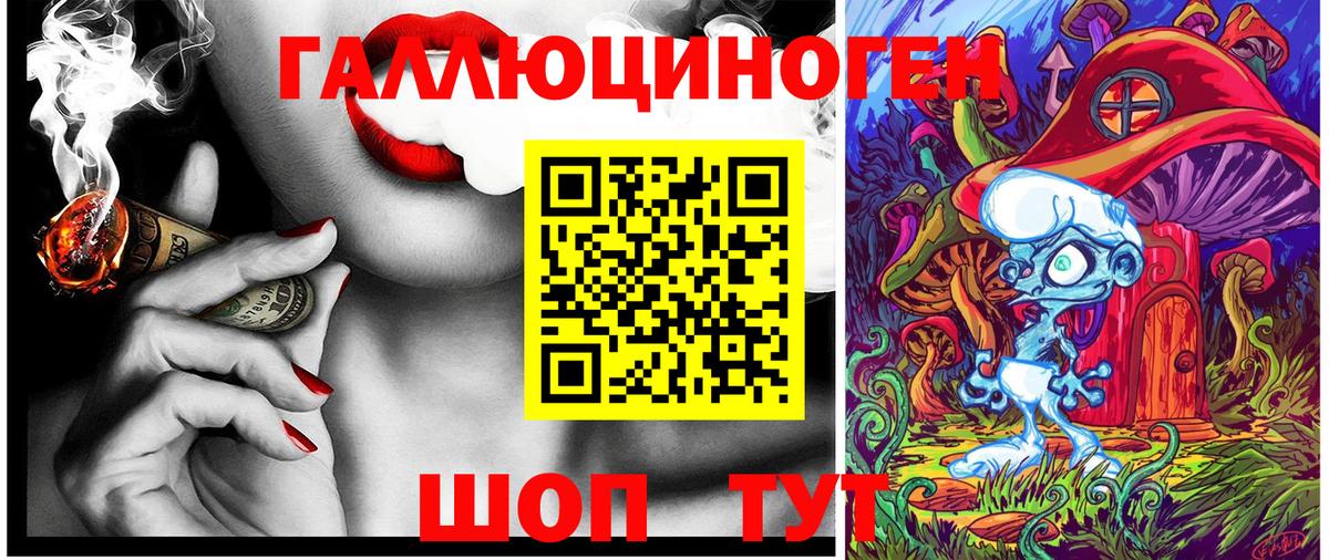 Мурманск  Галлюциногенные грибы GOLDEN TEACHER  Вход с VPN  Псилоцибиновые грибы GOLDEN TEACHER 