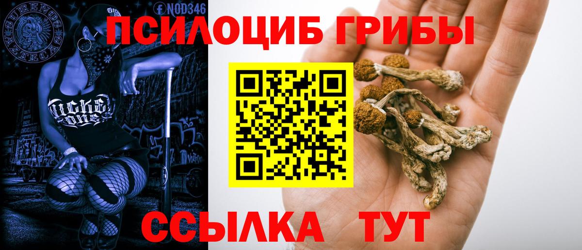 Галлюциногенные грибы Magic Shrooms Мурманск